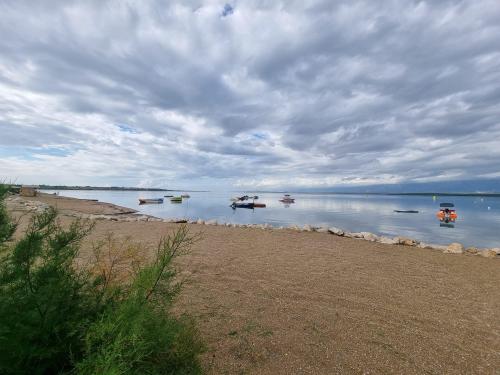 campery asone - WhatsApp Image 2021-11-04 at 13.11.28 (1)